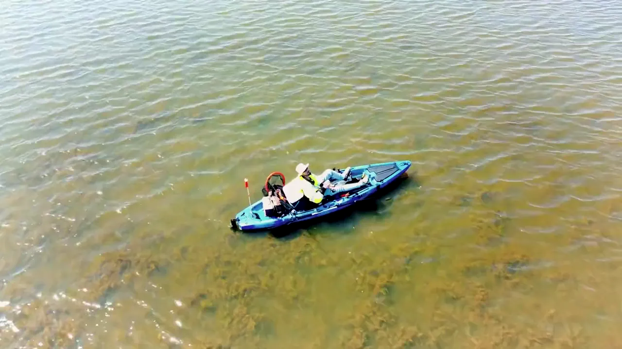 Anglers fishing from blue kayaks in shallow marsh water